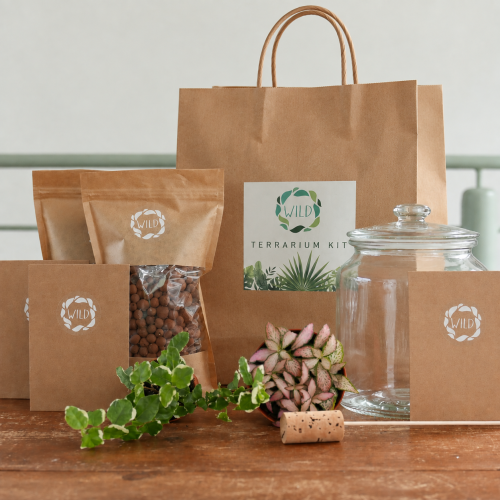 Terrarium kit DIY