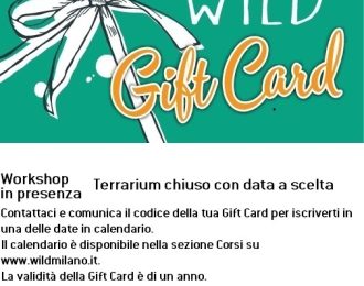 Gift Card Workshop Terrarium chiuso