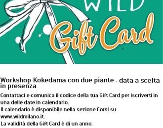 Gift Card Workshop Kokedama con due piante