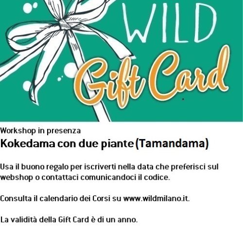 Gift Card Workshop Kokedama con due piante (Tamandama)
